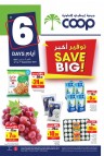 Abu Dhabi COOP Big Save