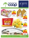 Abu Dhabi COOP Shopping Deals