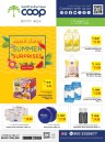 Earth Supermarket Summer Surprises