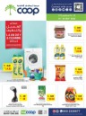 Abu Dhabi COOP Laundry & Cleaning Offers