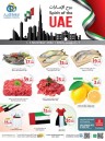 Spirit Of The UAE Promotion