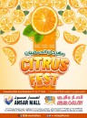 Citrus Fest Promotion