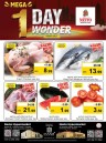 Nesto 1 Day Wonder Deals