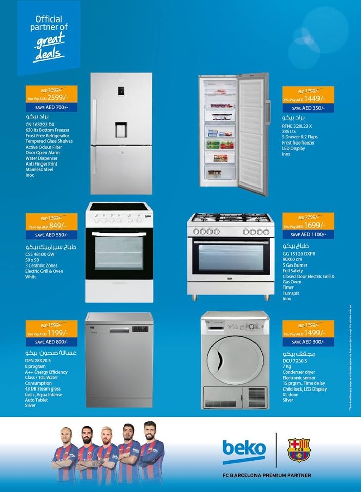 DSF Electronics Fest