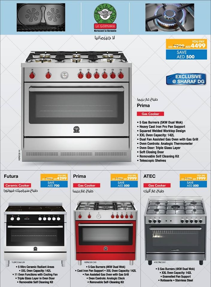DSF Electronics Fest
