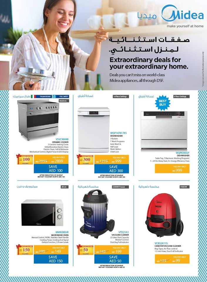 DSF Electronics Fest