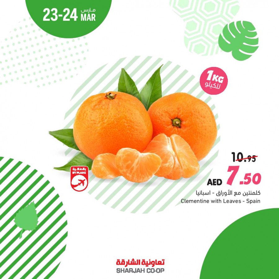 Sharjah CO-OP Midweek Offers