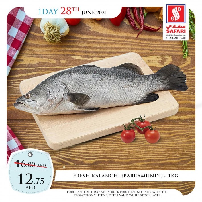 Safari One Day Offer 28 June 2021