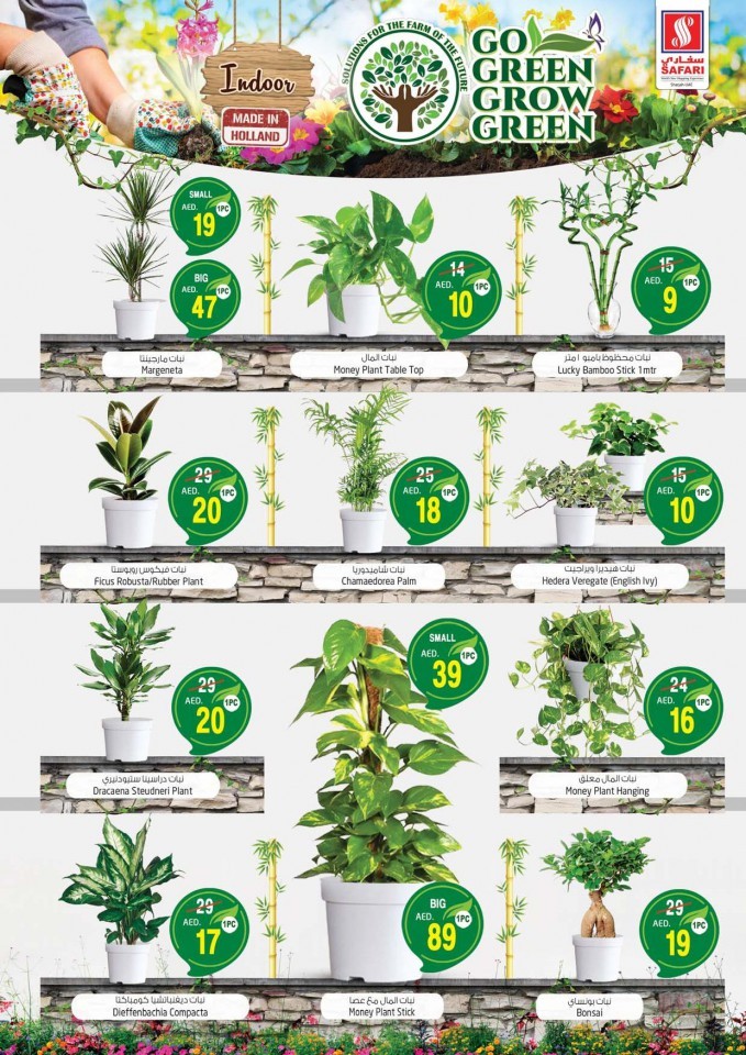 Safari Hypermarket Go Green Deals