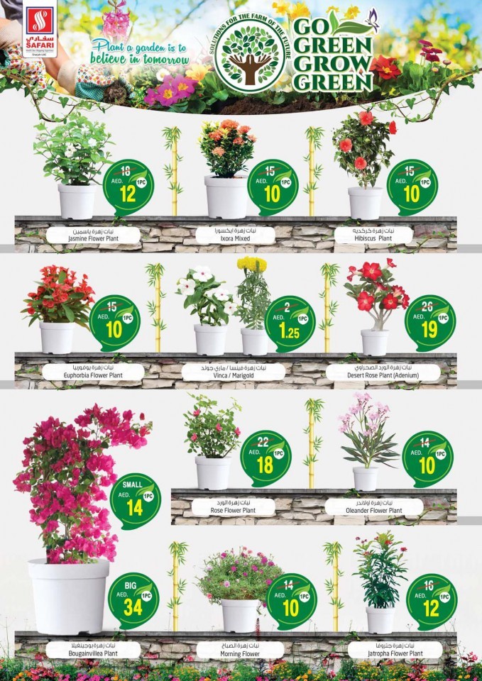 Safari Hypermarket Go Green Deals