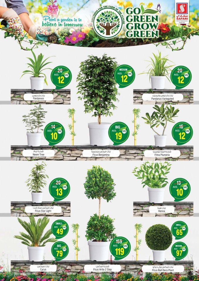 Safari Hypermarket Go Green Deals