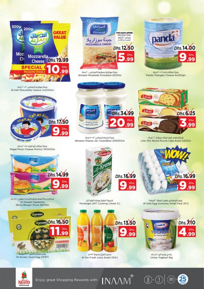 Nesto Al Muweilah Half Priced Promotion