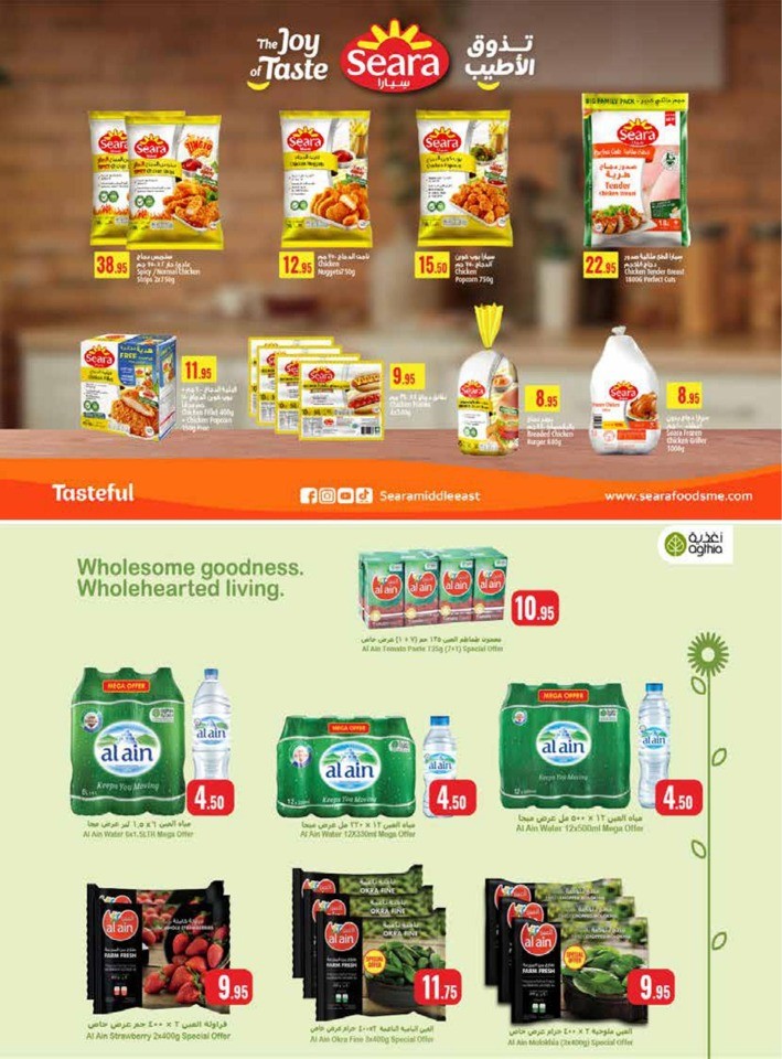 Ramez EID Joy Promotion