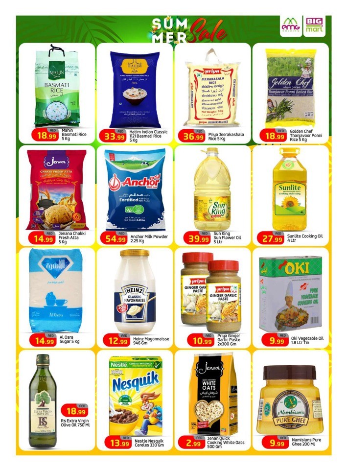 Big Mart Summer Sale