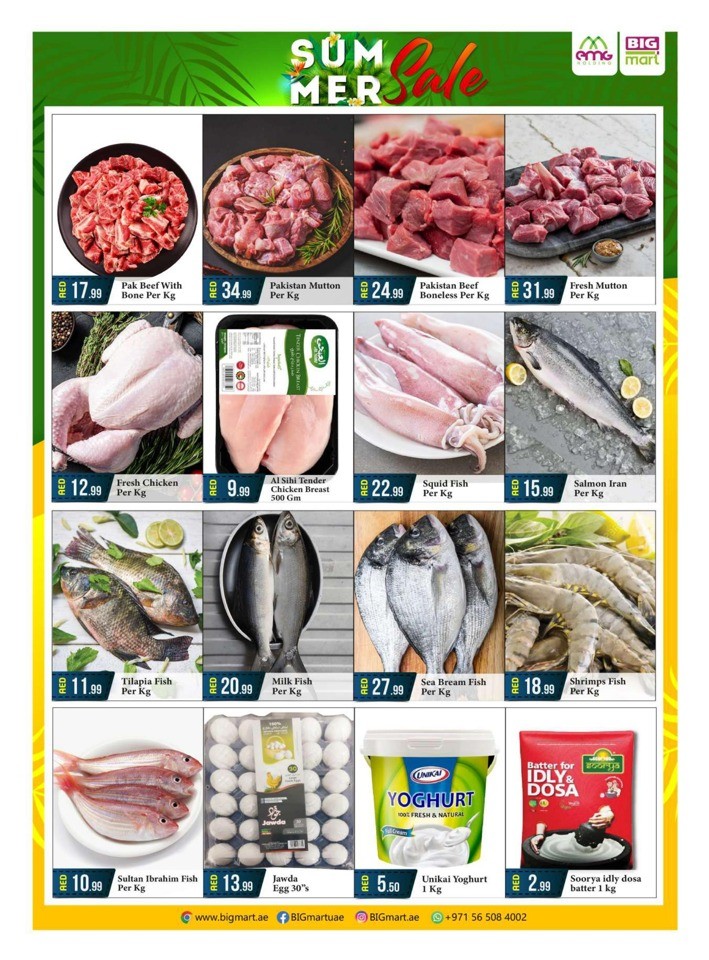 Big Mart Summer Sale