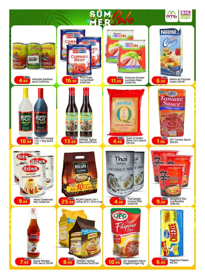 Big Mart Summer Sale