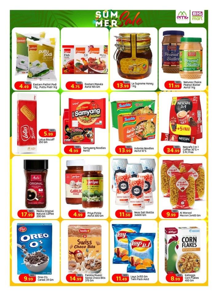 Big Mart Summer Sale