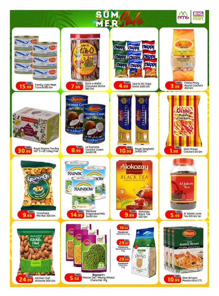 Big Mart Summer Sale