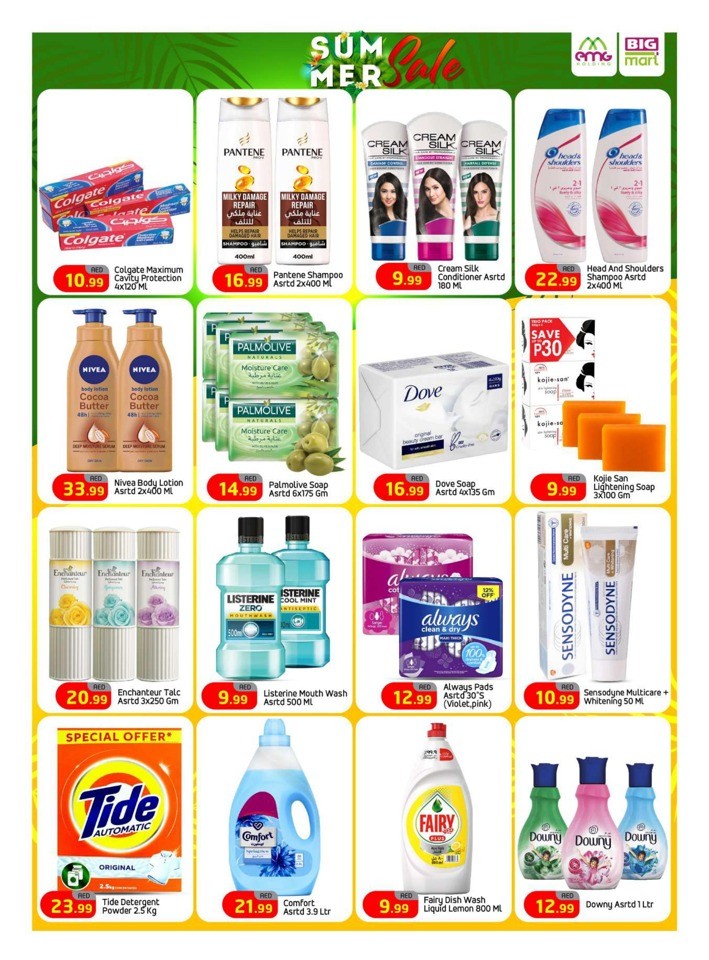 Big Mart Summer Sale
