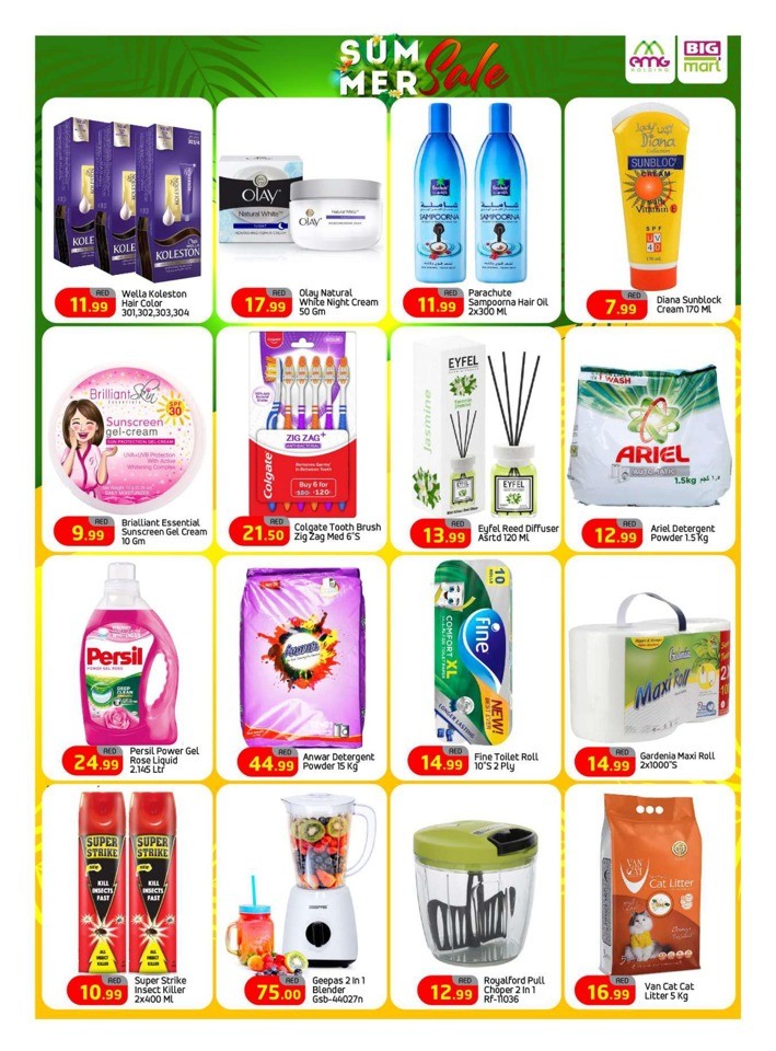Big Mart Summer Sale