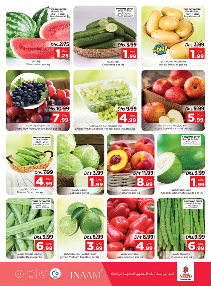 Nesto Half Priced Sale