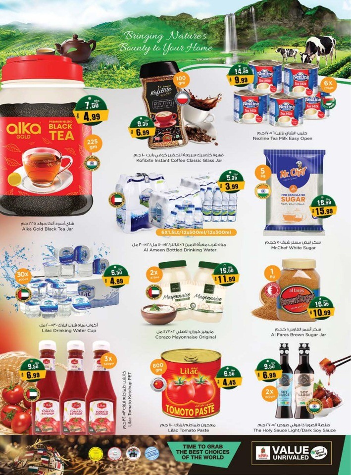 Nesto Half Priced Sale