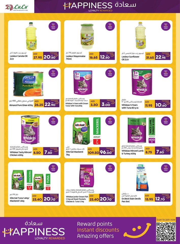 Abu Dhabi & Al Ain Happiness Promotion