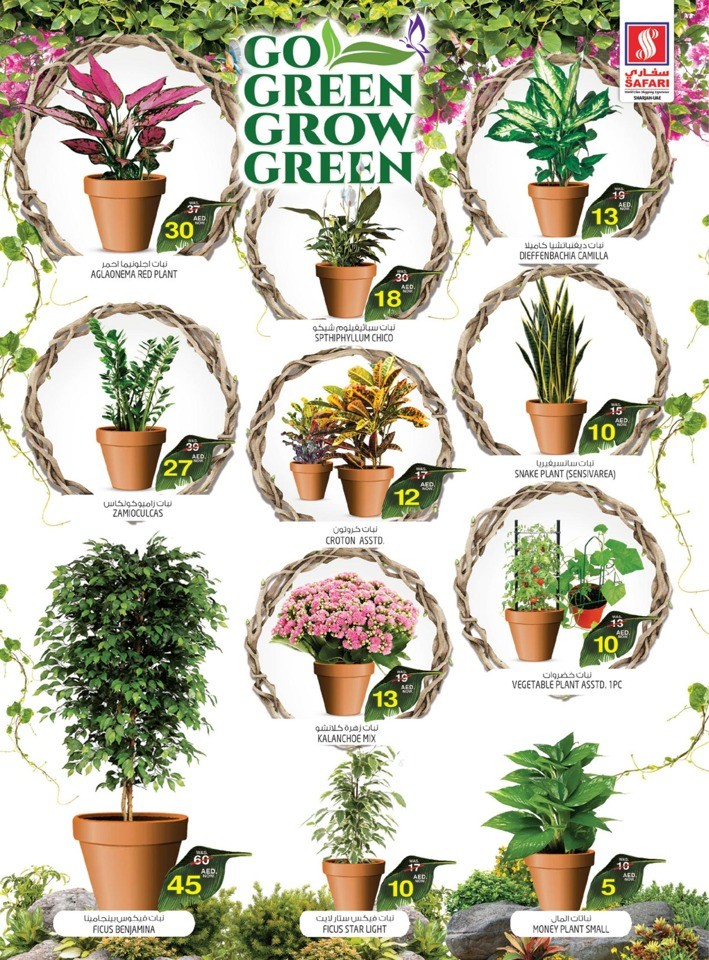 Go Green Grow Green Sale