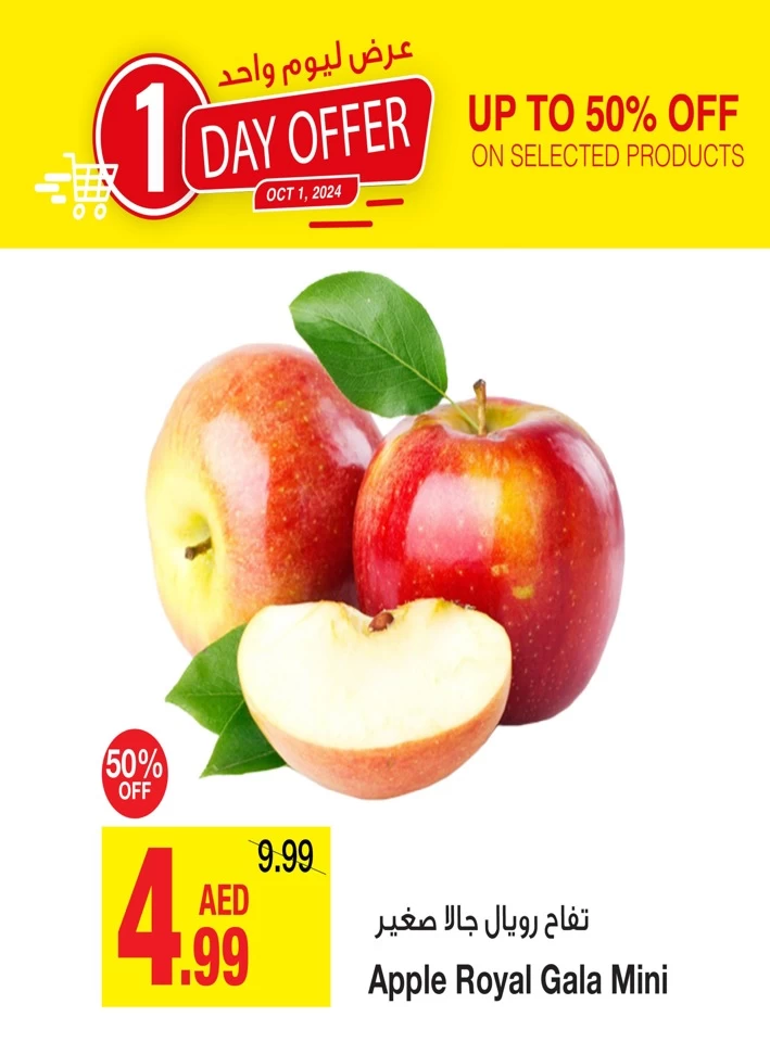 1 Day Offer 1 October 2024