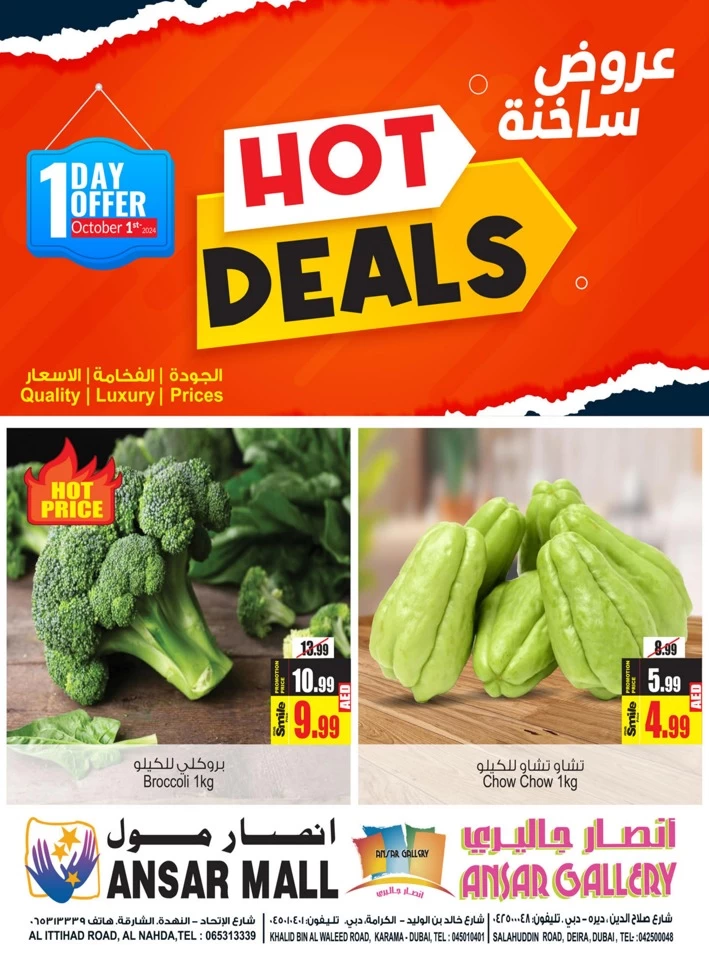 1 Day Hot Offer 1 October 2024