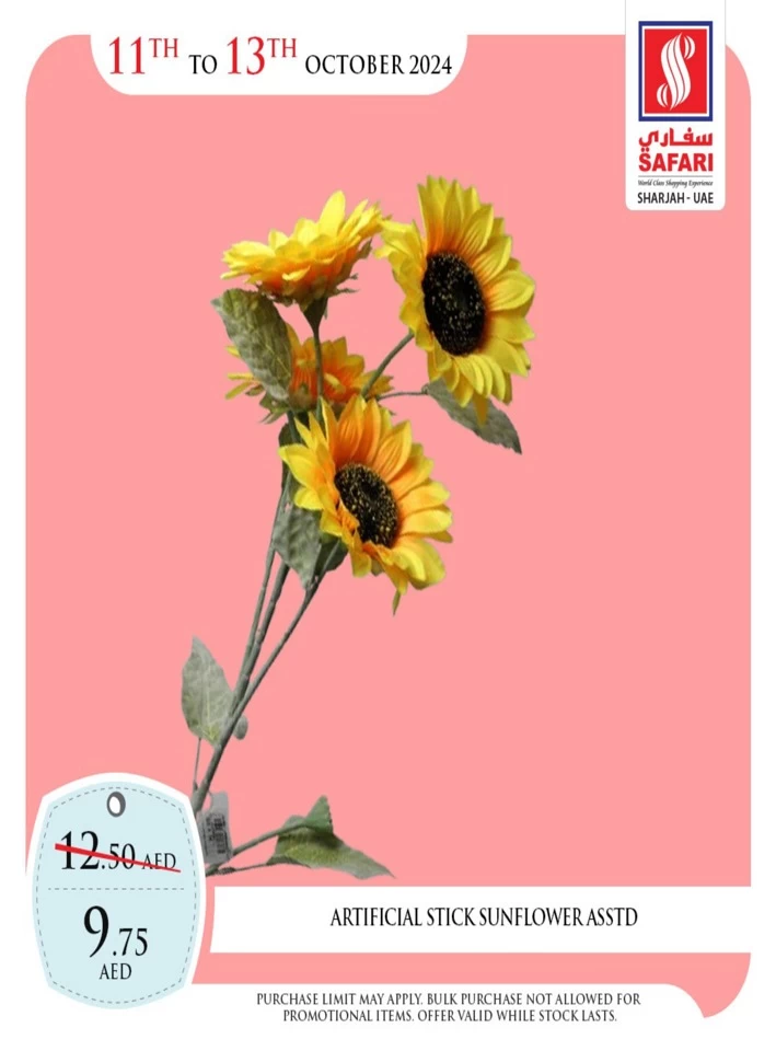 1 Day Deal 11 October 2024