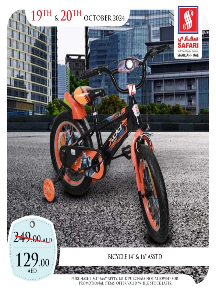 1 Day Deal 19 October 2024