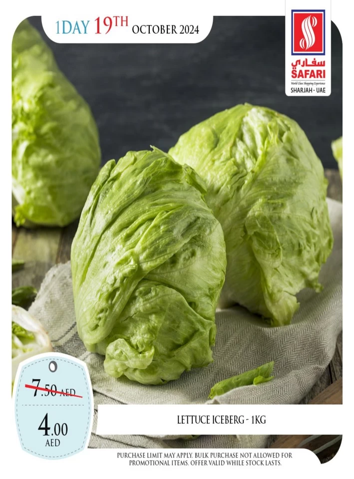 1 Day Deal 19 October 2024