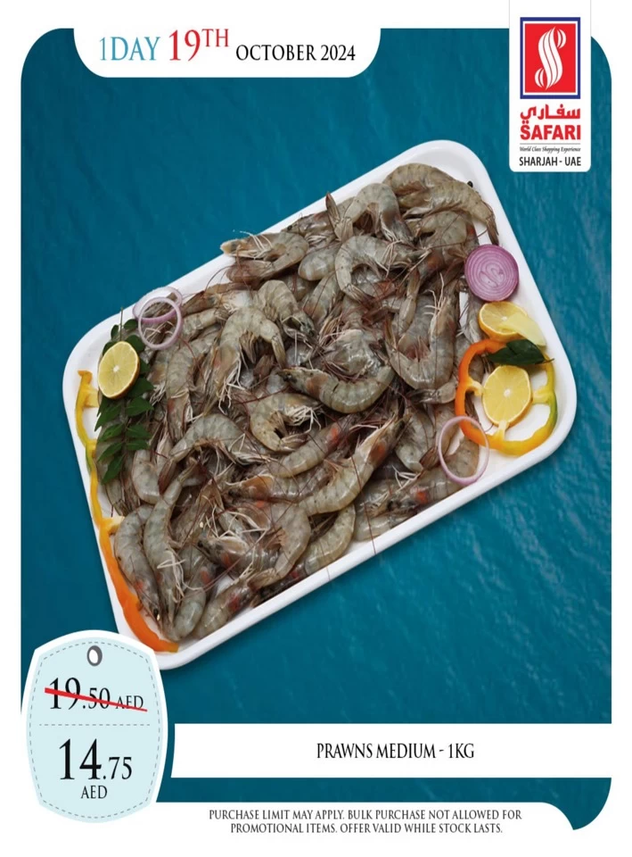 1 Day Deal 19 October 2024