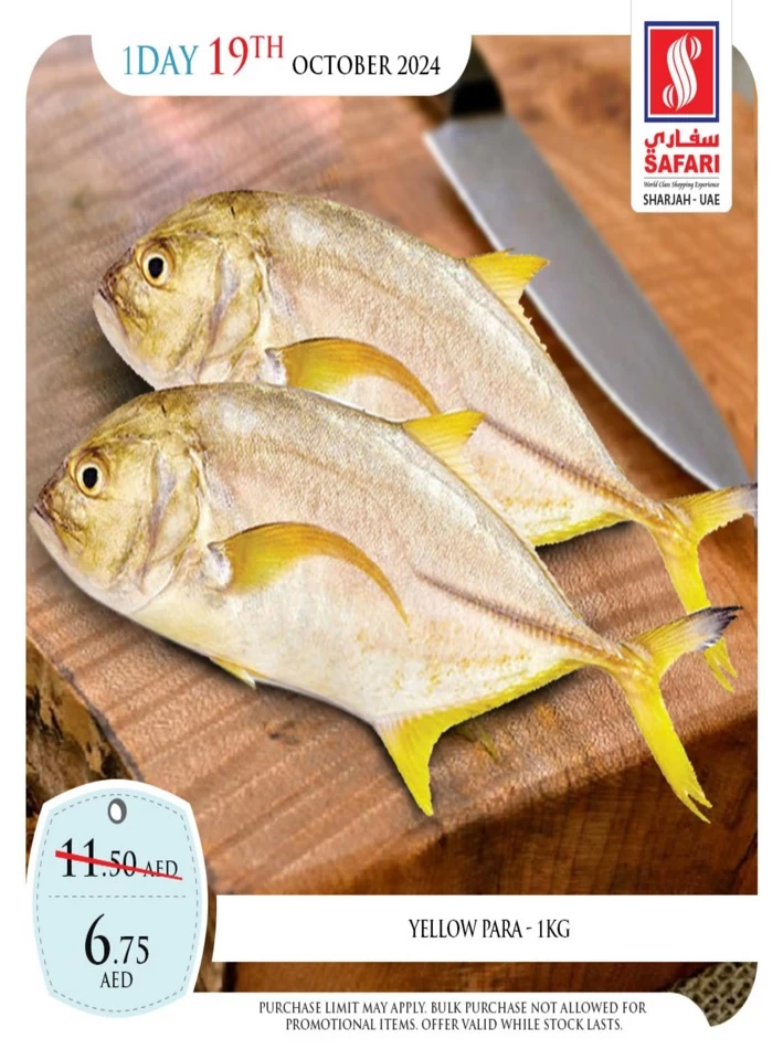 1 Day Deal 19 October 2024