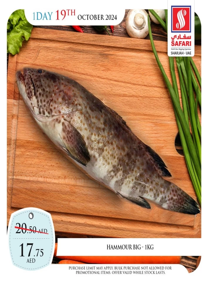 1 Day Deal 19 October 2024