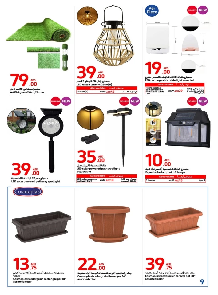 Carrefour Outdoor Deal