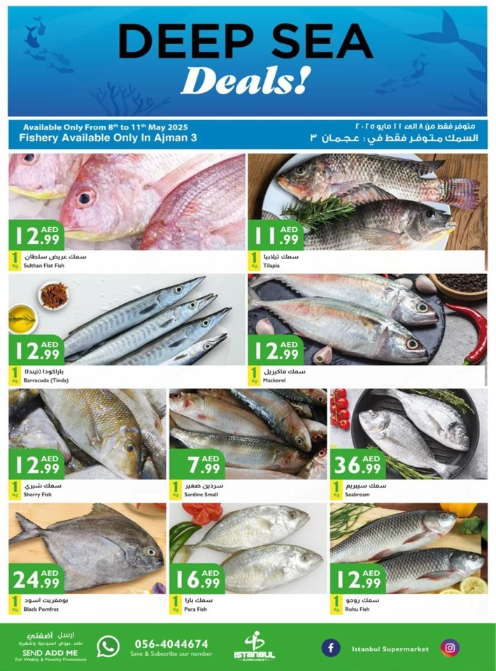 Exclusively Weekly Specials Offer