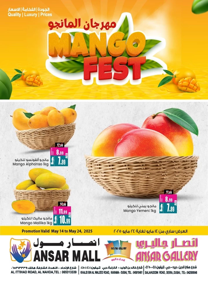 Mango Fest Promotion