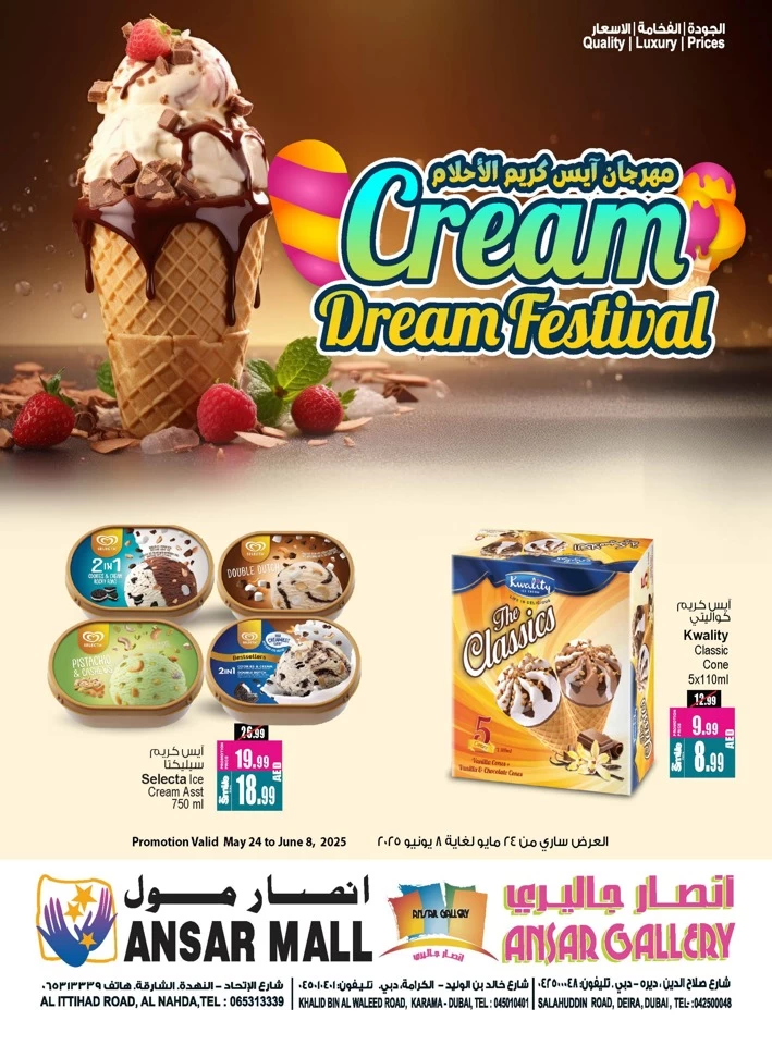 Ice Cream Festival Promotion
