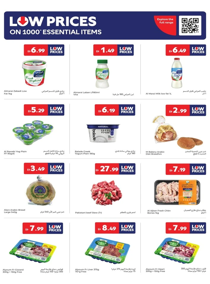 Carrefour Low Prices Promotion
