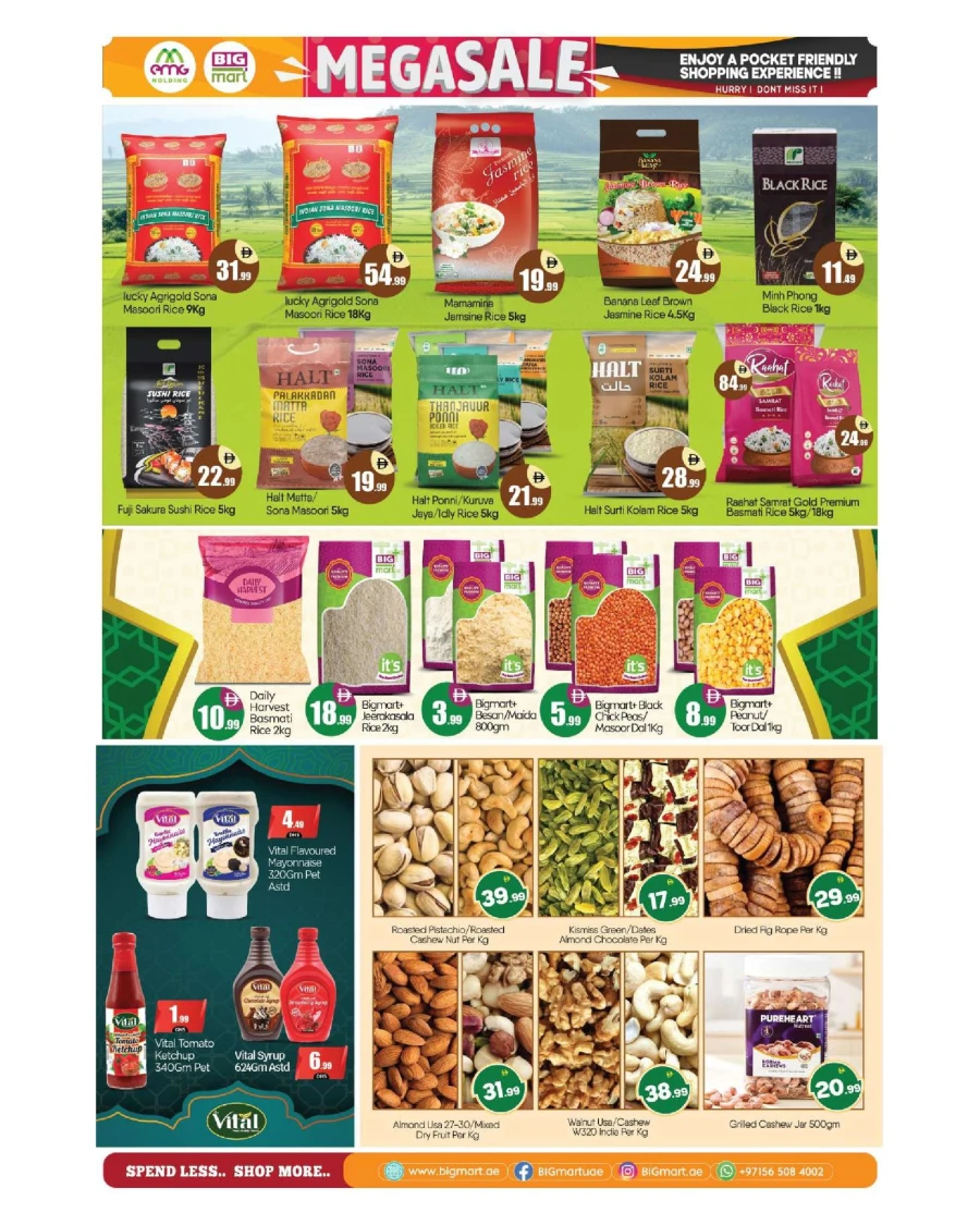 Big Mart Mega Sale Offer