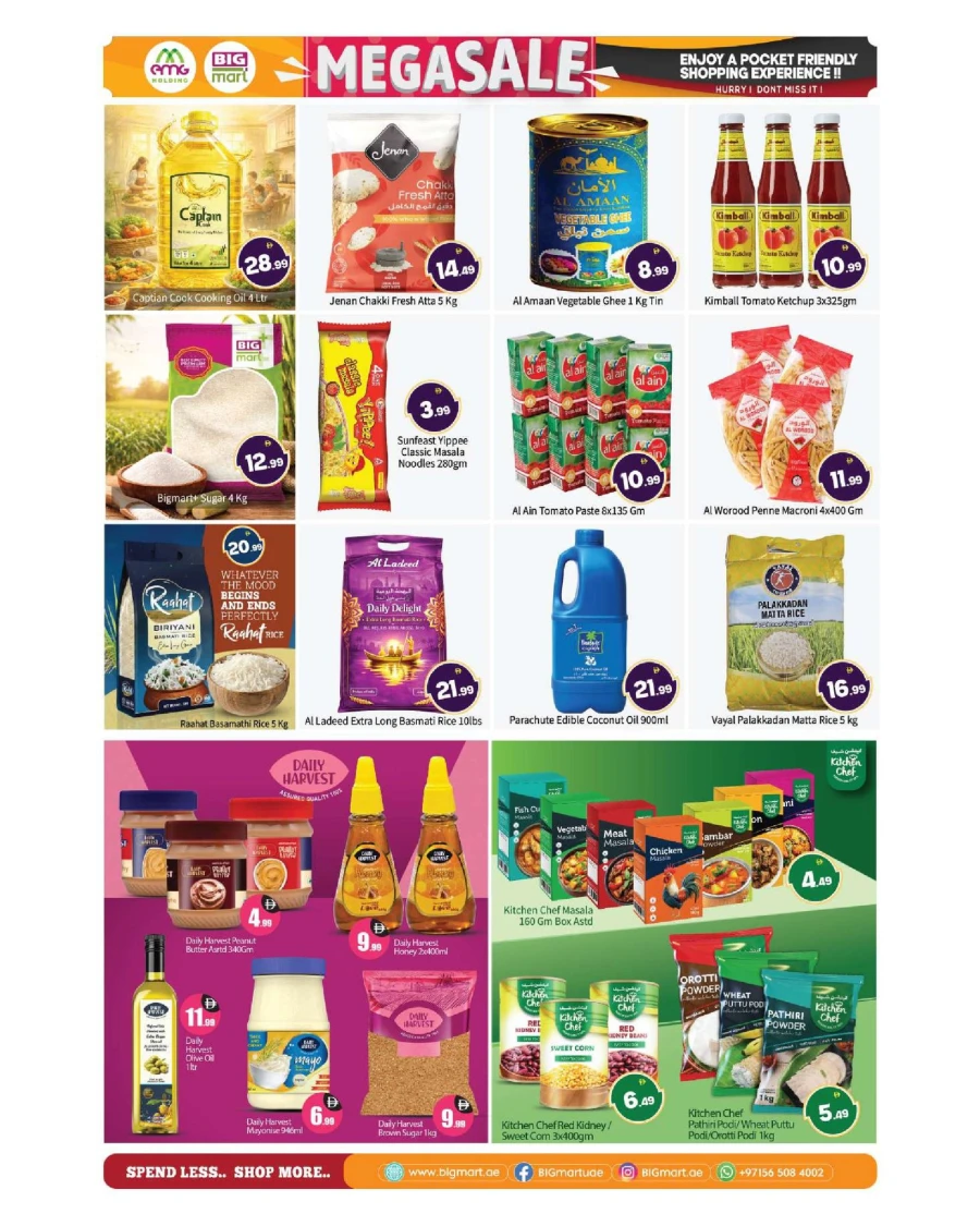Big Mart Mega Sale Offer