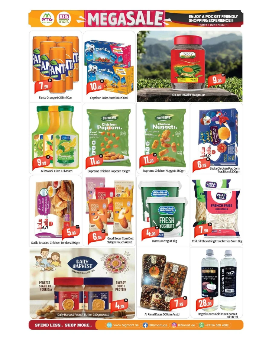 Big Mart Mega Sale Offer