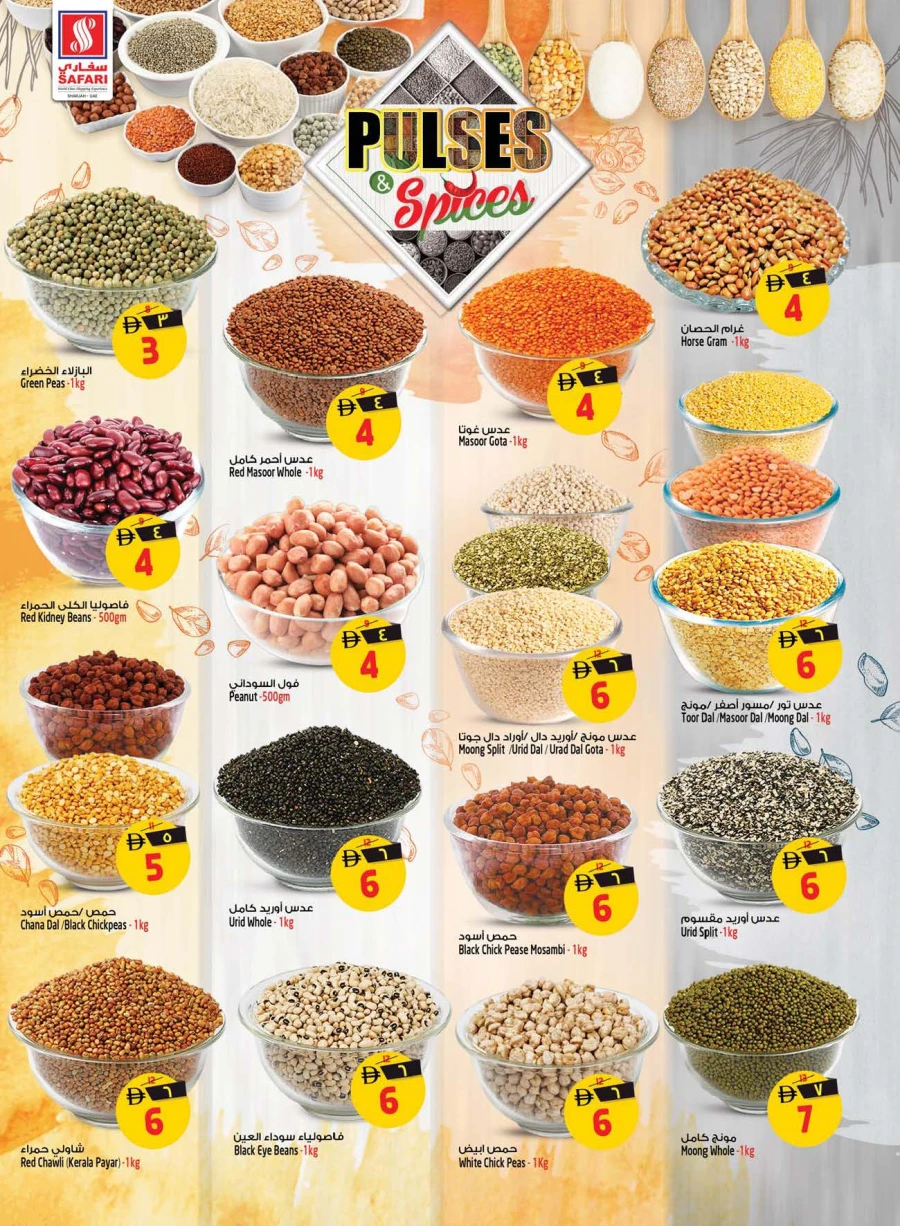 Safari Deal of the Day Offer