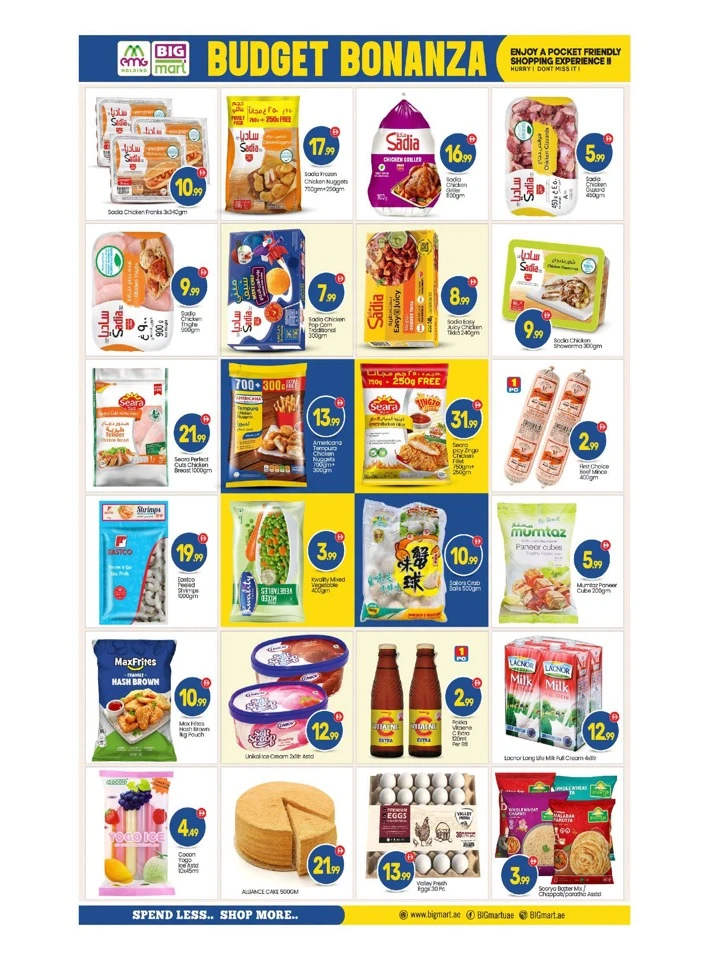Big Mart Budget Bonanza