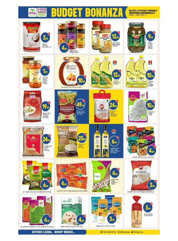 Big Mart Budget Bonanza