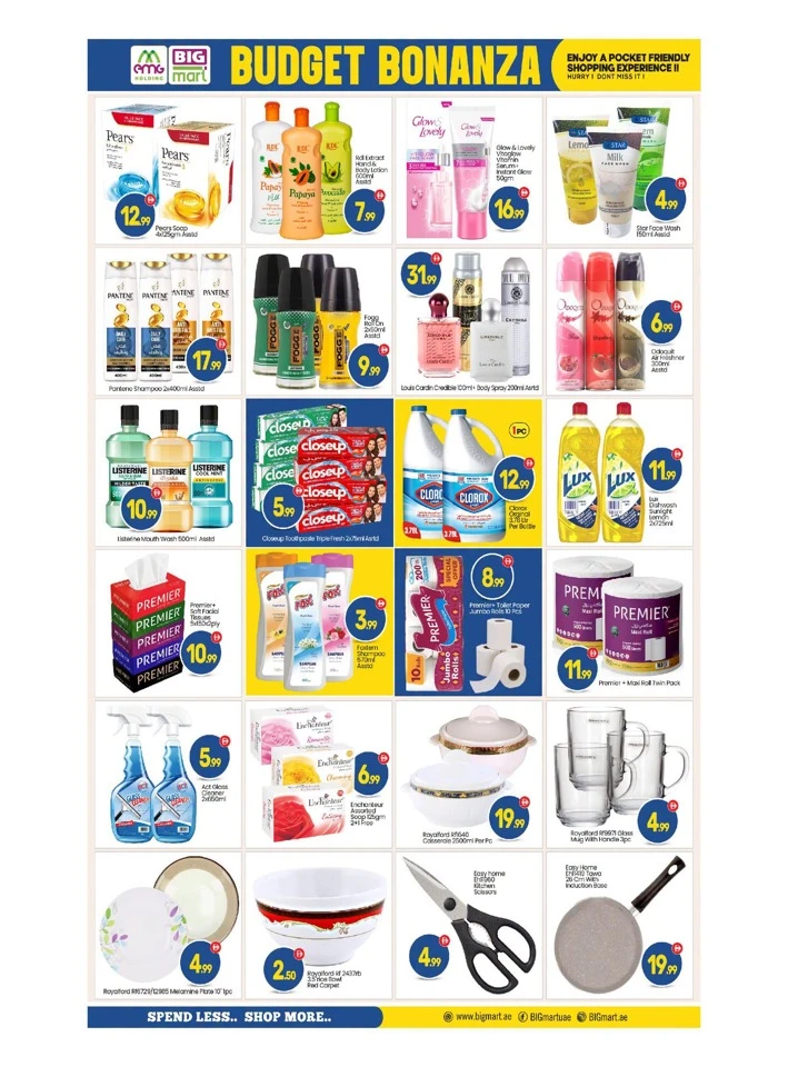 Big Mart Budget Bonanza