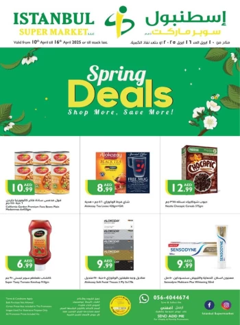 Istanbul Supermarket Spring Offers