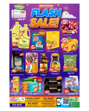 Big Mart Flash Sale Offer